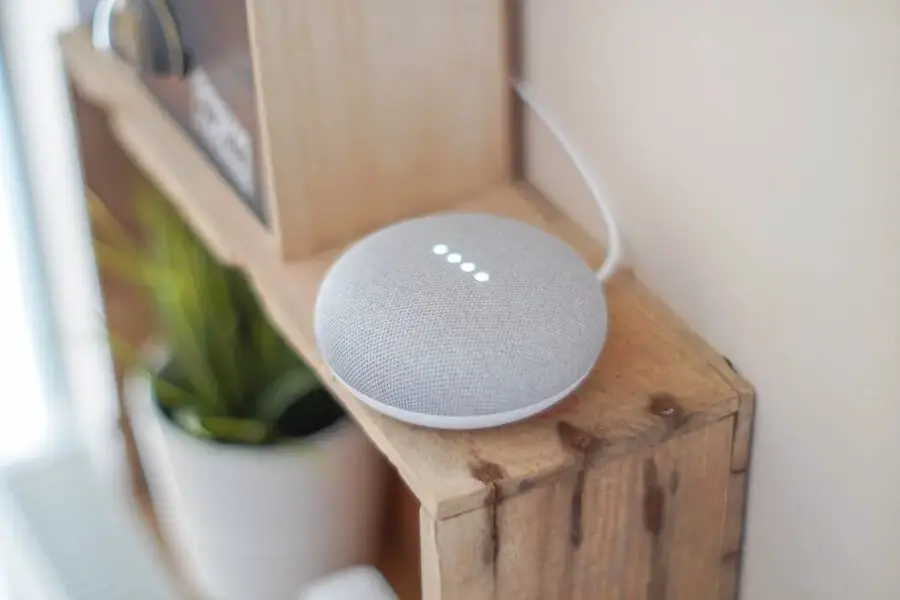 What Is The Difference Between Google Home And Assistant